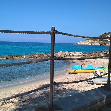 Summer מרצ'אנה